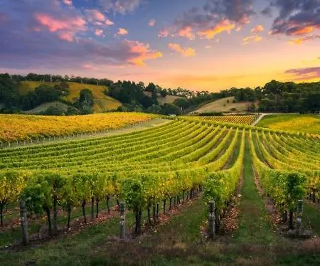 T2 Equipe Proche Des Chateaux Du Medoc Et De La Cote Atlantique *
